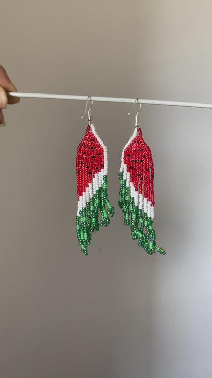 WATERMELON FRINGE TASSEL EARRINGS