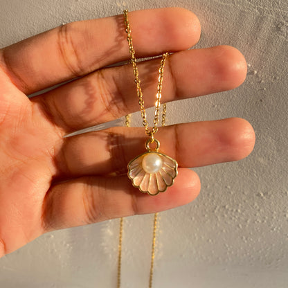 SEA SHELL WITH PEARL - CHAIN NECKLACE